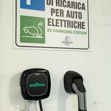 Отель Carducci